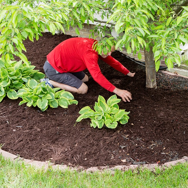 we provide discounts for bulk orders of mulch installation to help you save on your landscaping needs